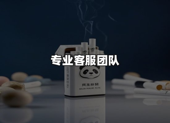 专业优势